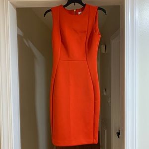 Calvin Klein dress